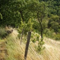 Vent d'été en Ardèche
