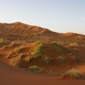 Namibie - le désert du Namib 2 ème