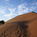 Namibie - Dune au petit matin 3