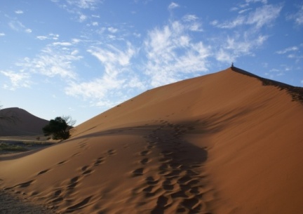 Namibie - Dune au petit matin 3