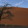 Namibie - Dune au petit matin 4
