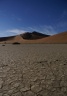 Namibie - Dune Big Daddy au loin