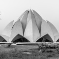 Delhi-Temple Lotus-9720