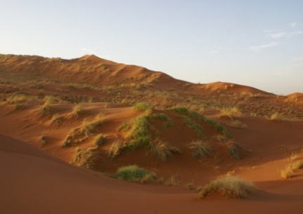 Namibie - le désert du Namib 2 ème