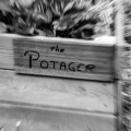 Potager-zoom